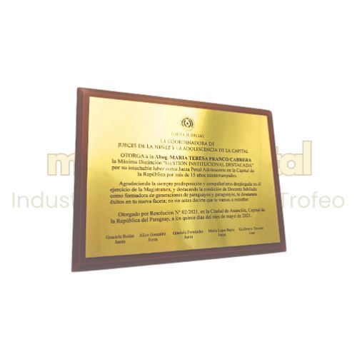 Imagen de Placa de reconocimiento - M3.112